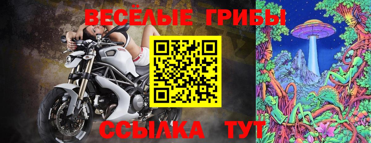 Галлюциногенные грибы Psilocybine cubensis Рубцовск