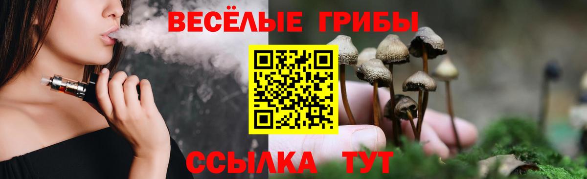 Галлюциногенные грибы прущие грибы  купить закладку  Рубцовск  Вход с VPN 